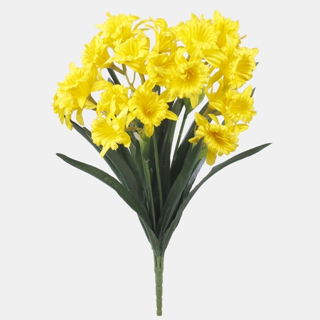 Daffodil x 7