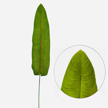 Banana rubberised leaf