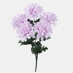 Lt. Lilac (QA386-04)