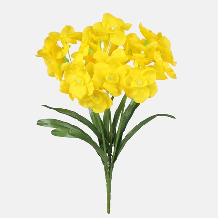 Daffodil x 7