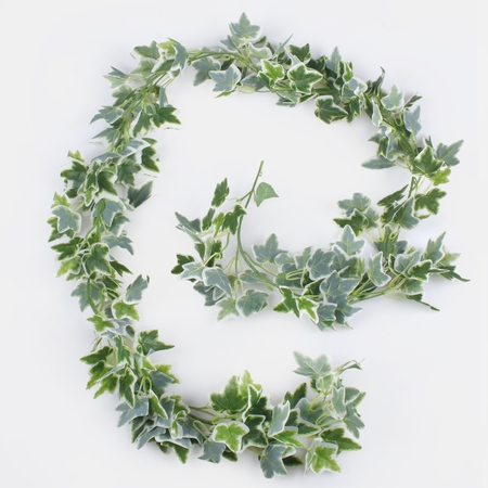 Variegated Ivy - garland