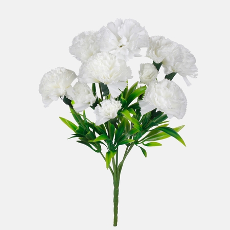 Carnation