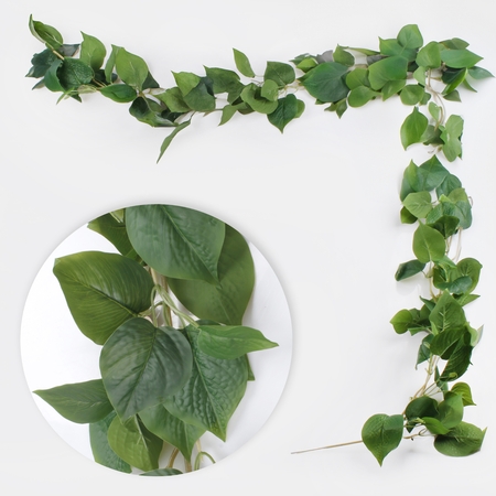 Pothos garland 2 m