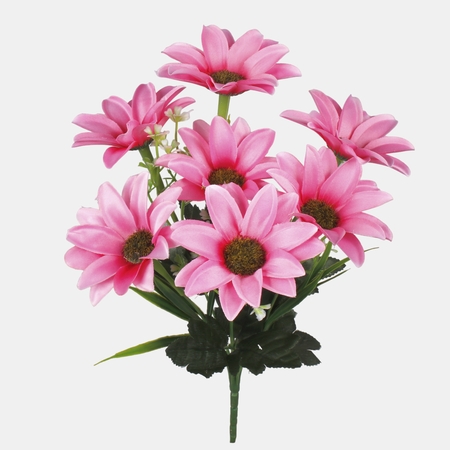 Gerbera x 7