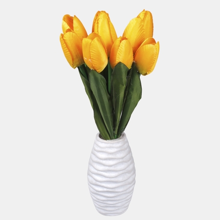 Tulip bundle x 9