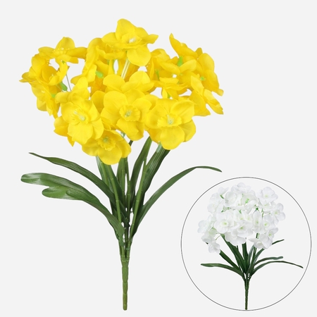 Daffodil x 7